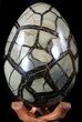 Septarian Dragon Egg Geode - Black Crystals #55712-3